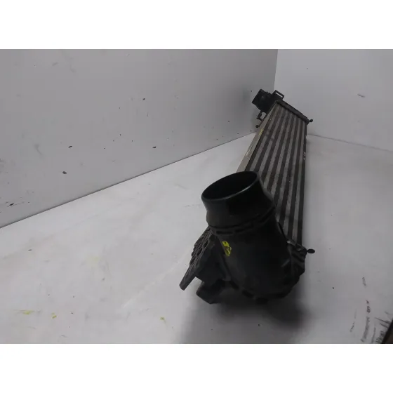 Intercooler para Renault Scenic Iii (Jz0/1_)