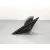 Retrovisor Derecho para Mazda 6 Sedan (Gh)