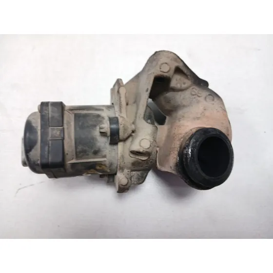 Valvula Egr para Peugeot Expert Kasten