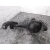Diferencial Delantero para Hyundai Terracan (Hp)