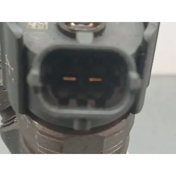 Inyector para Kia Carens (Un)