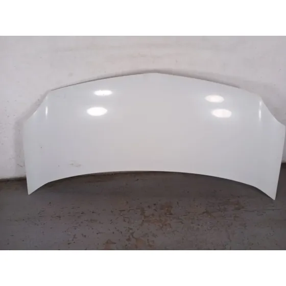 Capot para Renault Kangoo Express (Fw0/1_)