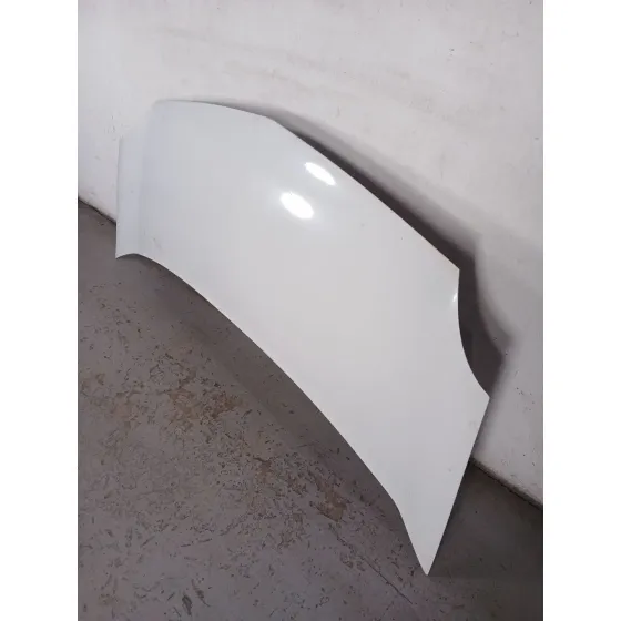 Capot para Renault Kangoo Express (Fw0/1_)