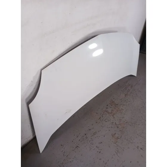 Capot para Renault Kangoo Express (Fw0/1_)