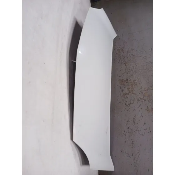Capot para Renault Kangoo Express (Fw0/1_)
