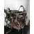 Despiece Motor para Renault Kangoo Express (Fw0/1_)