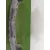 Paragolpes Delantero para Renault Kangoo Express (Fw0/1_)