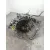 Despiece Caja Cambios para Renault Scenic Iv (J9_)