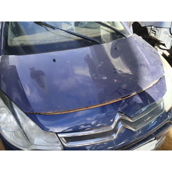 Capot para Citroën C3 Ii (Sc_)
