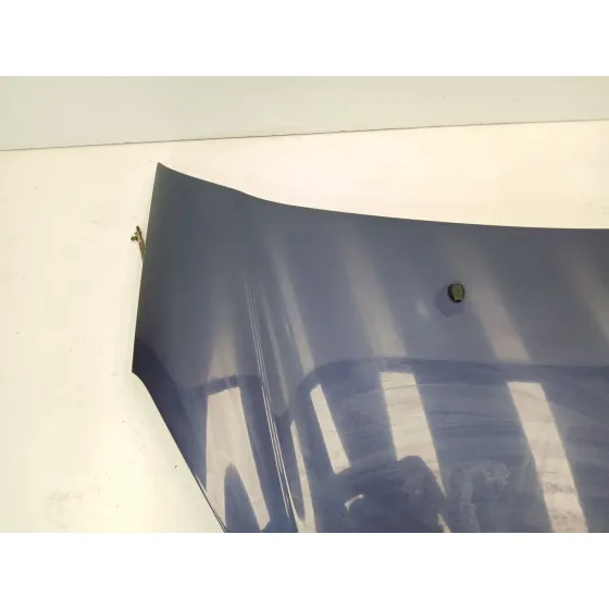 Capot para Citroën C3 Ii (Sc_)