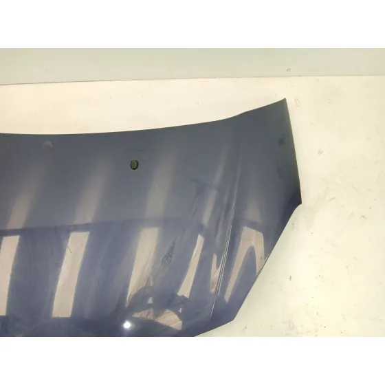 Capot para Citroën C3 Ii (Sc_)