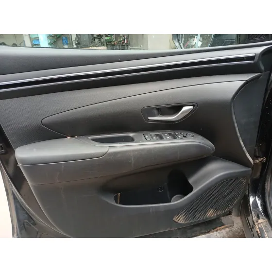 Guarnecido Puerta Delantera Izquierda para Hyundai Tucson (Nx4E, Nx4A)