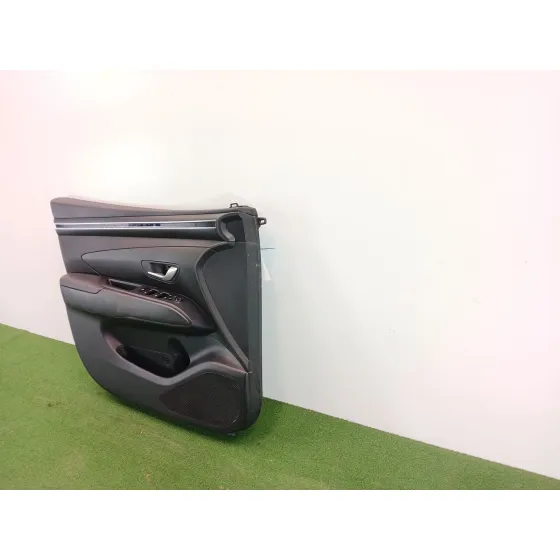 Guarnecido Puerta Delantera Izquierda para Hyundai Tucson (Nx4E, Nx4A)