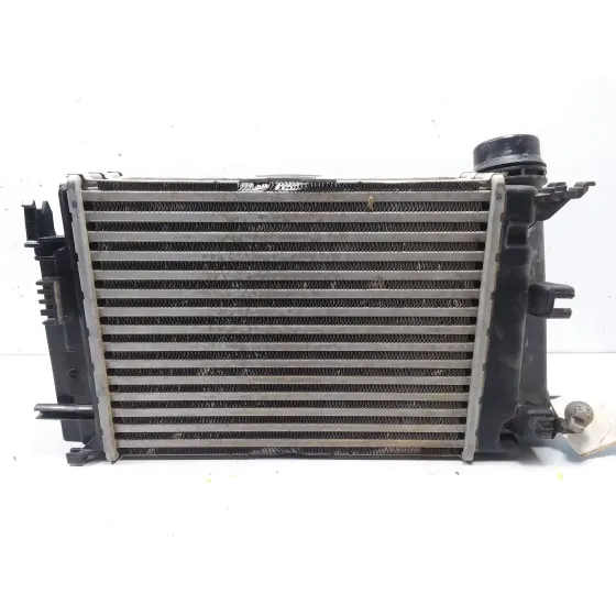 Intercooler para Renault Scenic Iv (J9_)