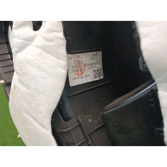 Guarnecido Puerta Trasera Izquierda para Mg Zs Suv (Azs1)