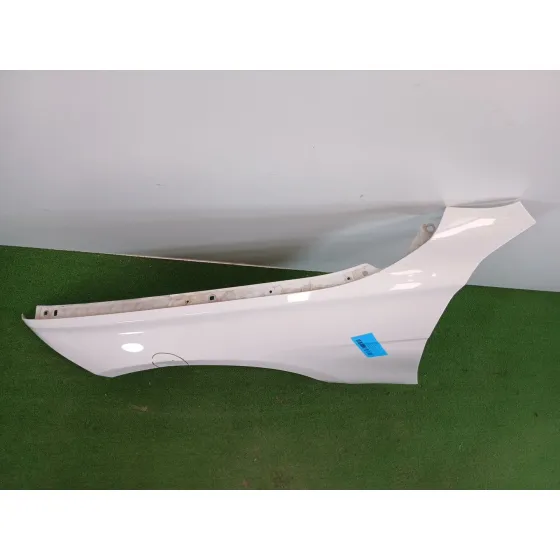 Aleta Delantera Izquierda para Bmw 3 (F30, F80)