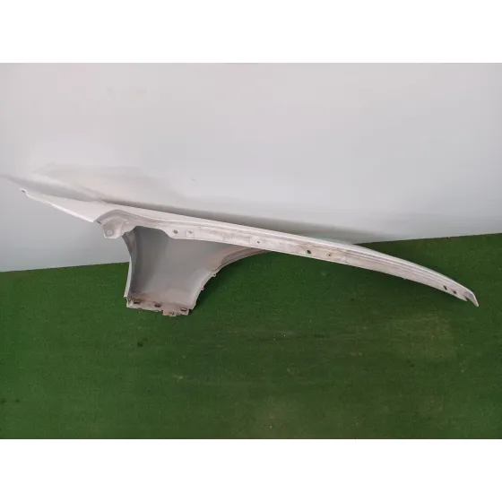 Aleta Delantera Izquierda para Bmw 3 (F30, F80)