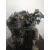 Despiece Motor para Renault Kangoo Iii