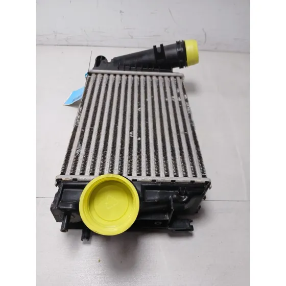 Intercooler para Nissan Qashqai Ii (J11, J11_)