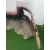 Paragolpes Trasero para Seat Arona (Kj7, Kjp)