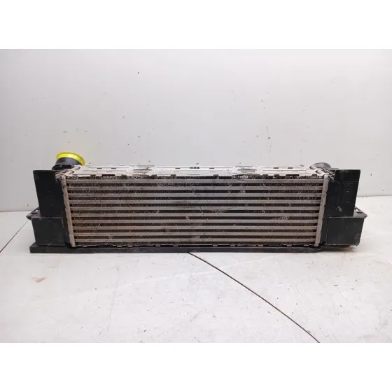 Intercooler para Bmw X3 (F25)