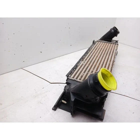 Intercooler para Bmw X3 (F25)