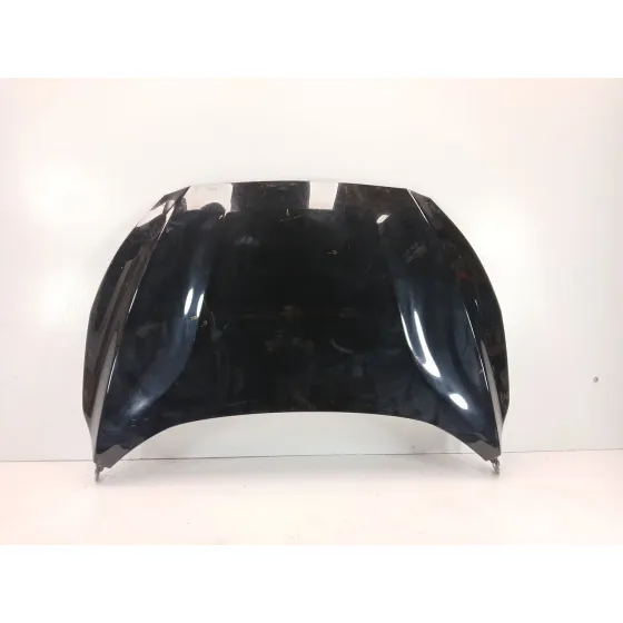 Capot para Ford Focus Iv (Hn)