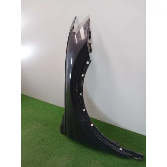 Aleta Delantera Derecha para Volkswagen Tiguan (Ad1, Ax1)