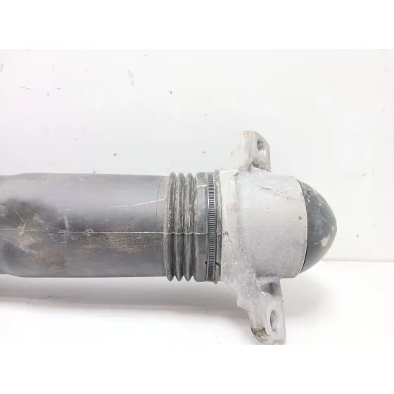 Amortiguador Trasero Derecho para Volkswagen Tiguan (Ad1, Ax1)