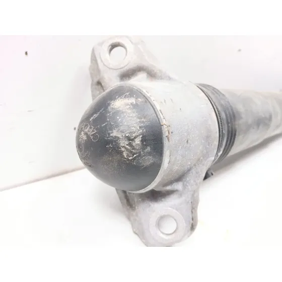 Amortiguador Trasero Izquierdo para Volkswagen Tiguan (Ad1, Ax1)
