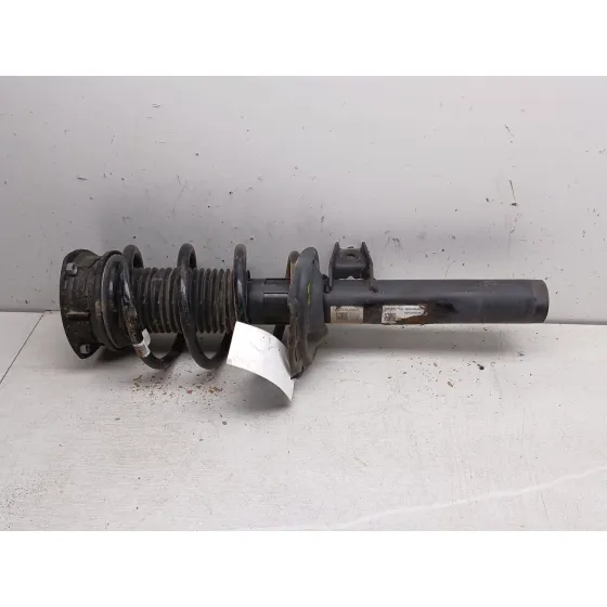 Amortiguador Delantero Izquierdo para Volkswagen Tiguan (Ad1, Ax1)