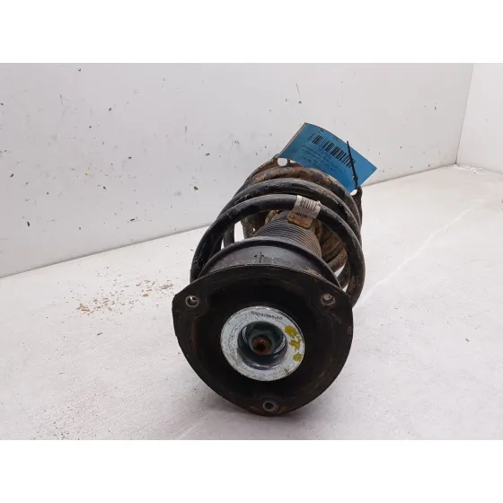 Amortiguador Delantero Izquierdo para Volkswagen Tiguan (Ad1, Ax1)
