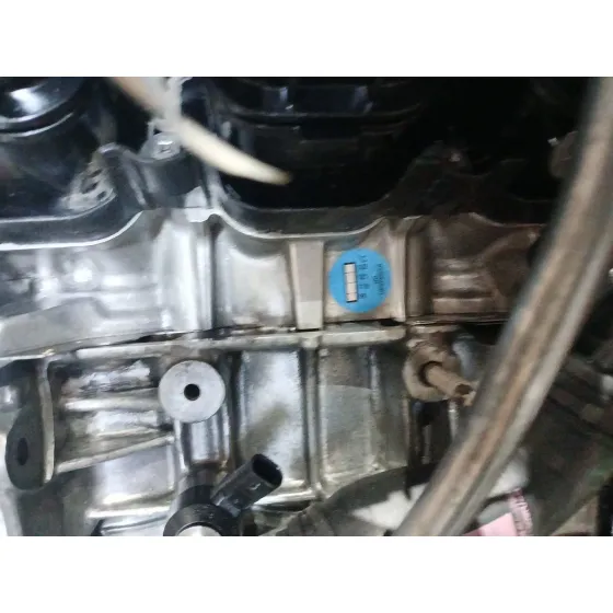 Despiece Motor para Renault Arkana I (Lcm_, Ldn_)