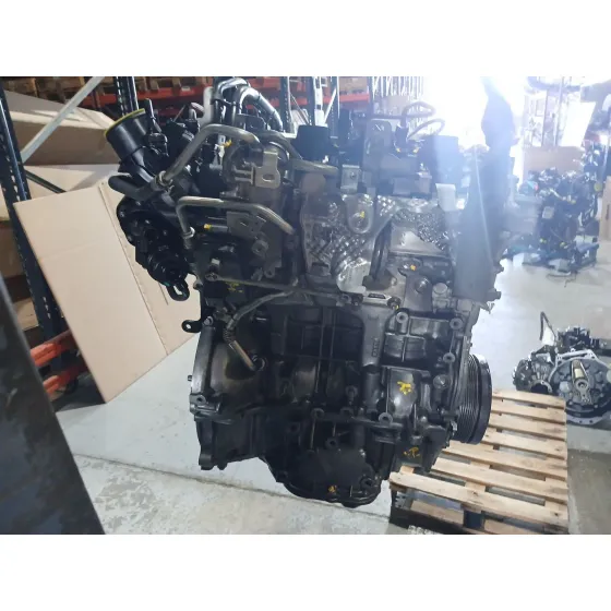 Despiece Motor para Renault Arkana I (Lcm_, Ldn_)