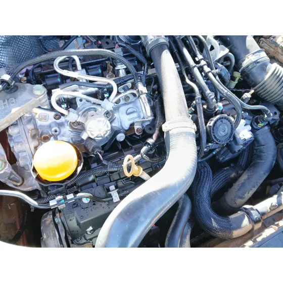 Despiece Motor para Renault Arkana I (Lcm_, Ldn_)