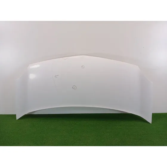 Capot para Renault Kangoo