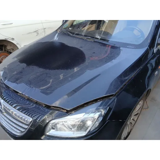 Capot para Opel Insignia A (G09)