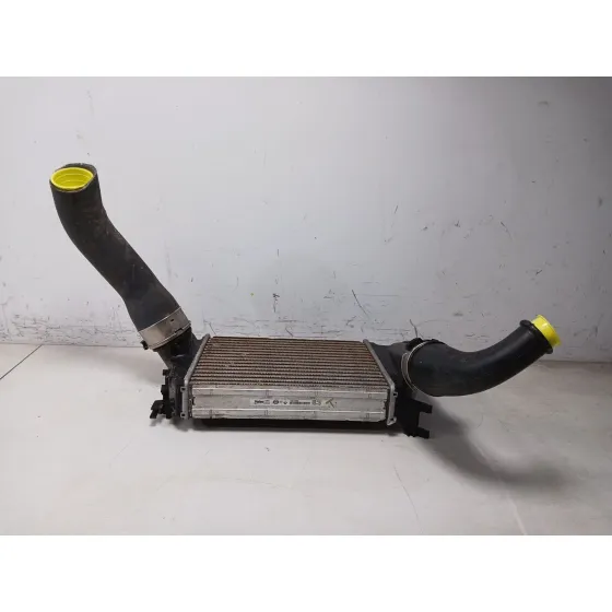Intercooler para Nissan Qashqai Ii (J11, J11_)