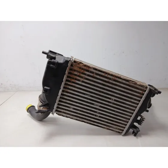 Intercooler para Nissan Qashqai Ii (J11, J11_)