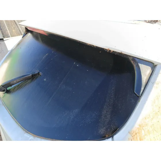 Porton Trasero para Nissan Qashqai Ii (J11, J11_)