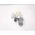Motor Elevalunas Trasero Izquierdo para Ford Focus Iv (Hn)