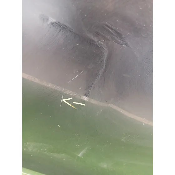 Puerta Delantera Izquierda para Audi A5 (8T3)