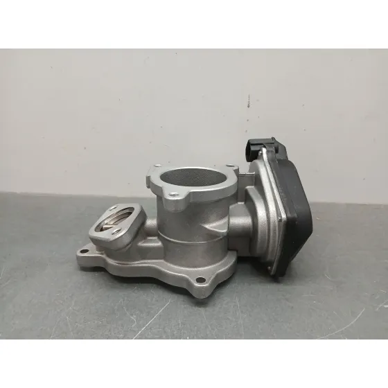 Valvula Egr para Audi A4 Berlina (8E)
