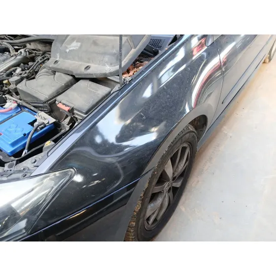 Aleta Delantera Izquierda para Renault Laguna Iii (Bt0/1)