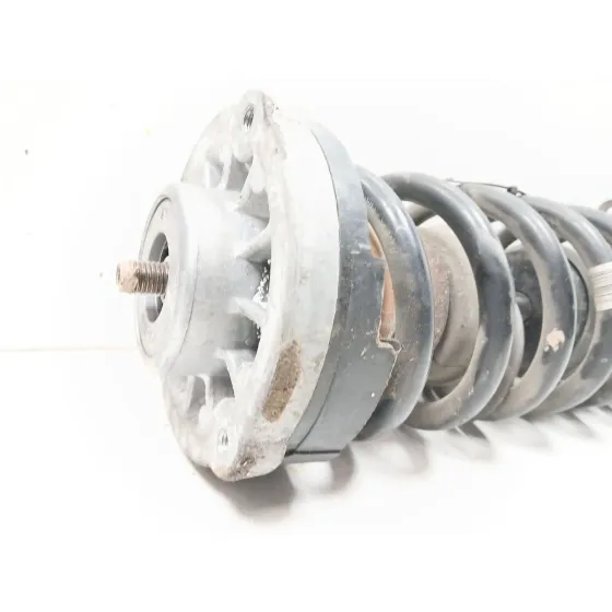 Amortiguador Delantero Izquierdo para Bmw Serie 5 Lim. (F10)