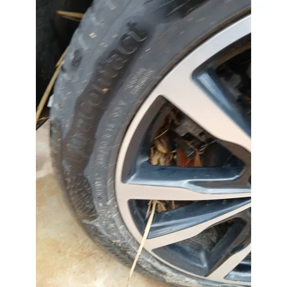 Neumatico para Ford Kuga Ii (Dm2)