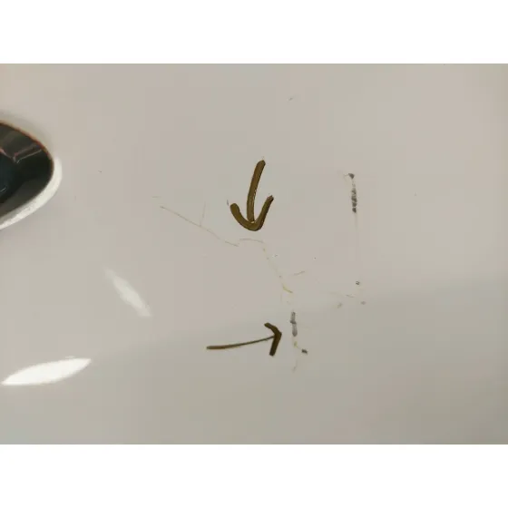 Aleta Delantera Derecha para Ford Kuga Ii (Dm2)