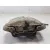 Pinza Freno Delantera Derecha para Audi A5 (8T3)