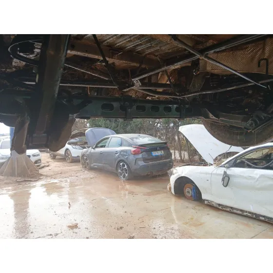 Puente Trasero para Fiat Talento Furgoneta (296_)