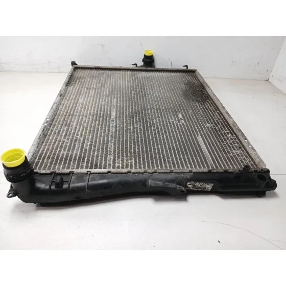 Radiador Agua para Bmw X3 (E83)